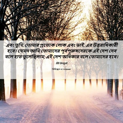Picture 06 - যিহিষ্কেল 47:14 BENIRV - এবং তুমি, তোমার - Bible Verse Picture