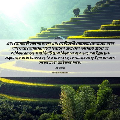 Picture 06 - যিহিষ্কেল 47:22 BENIRV - এবং তোমার নিজেদের - Bible Verse Picture