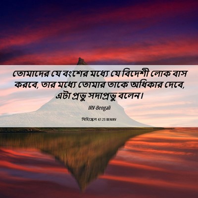 Picture 06 - যিহিষ্কেল 47:23 BENIRV - তোমাদের যে বংশের - Bible Verse Picture
