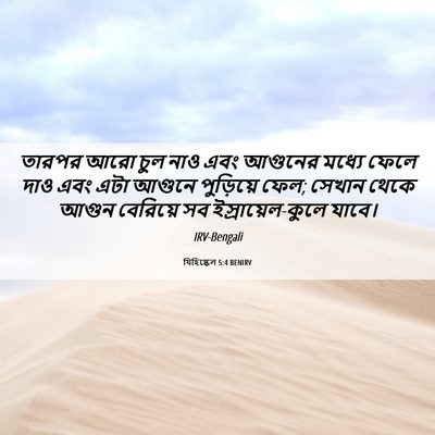 Picture 06 - যিহিষ্কেল 5:4 BENIRV - তারপর আরো চুল নাও - Bible Verse Picture