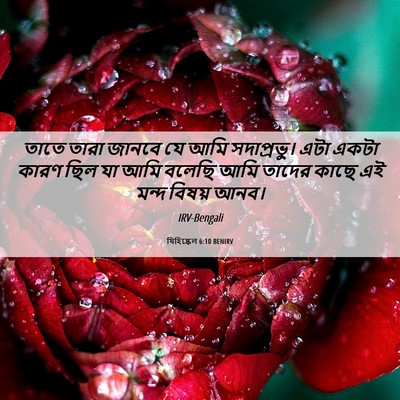 Picture 06 - যিহিষ্কেল 6:10 BENIRV - তাতে তারা জানবে যে - Bible Verse Picture