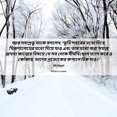 Picture 06 - যিহিষ্কেল 9:4 BENIRV - আর সদাপ্রভু তাকে - Bible Verse Picture