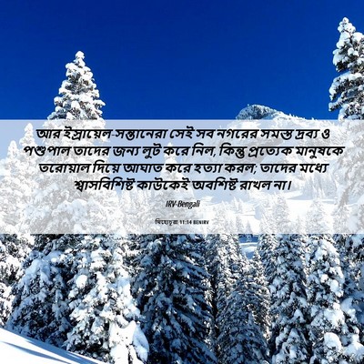 Picture 06 - যিহোচূৱা 11:14 BENIRV - আর - Bible Verse Picture