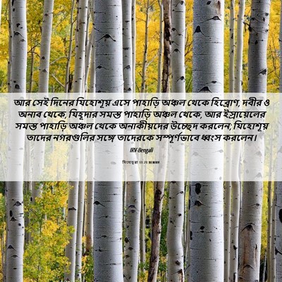 Picture 06 - যিহোচূৱা 11:21 BENIRV - আর সেই দিনের - Bible Verse Picture