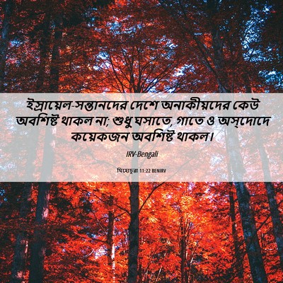 Picture 06 - যিহোচূৱা 11:22 BENIRV -  - Bible Verse Picture