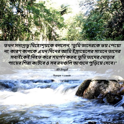 Picture 06 - যিহোচূৱা 11:6 BENIRV - তখন সদাপ্রভু - Bible Verse Picture