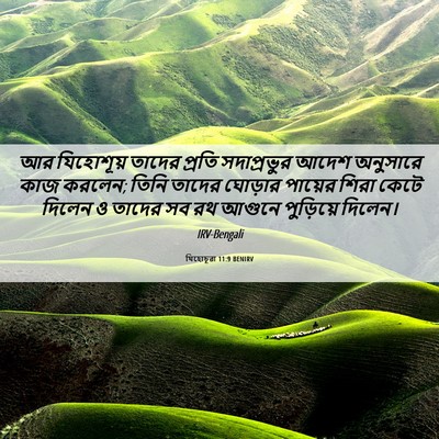 Picture 06 - যিহোচূৱা 11:9 BENIRV - আর যিহোশূয় তাদের - Bible Verse Picture