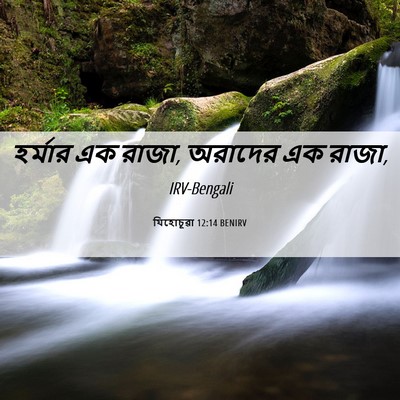 Picture 06 - যিহোচূৱা 12:14 BENIRV - হর্মার এক রাজা, - Bible Verse Picture