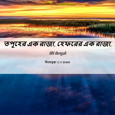 Picture 06 - যিহোচূৱা 12:17 BENIRV - তপূহের এক রাজা, - Bible Verse Picture