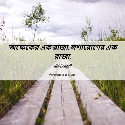 Picture 06 - যিহোচূৱা 12:18 BENIRV - অফেকের এক রাজা, - Bible Verse Picture
