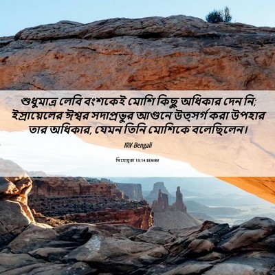 Picture 06 - যিহোচূৱা 13:14 BENIRV - শুধুমাত্র লেবি - Bible Verse Picture