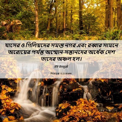 Picture 06 - যিহোচূৱা 13:25 BENIRV - যাসের ও গিলিয়দের - Bible Verse Picture