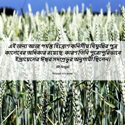 Picture 06 - যিহোচূৱা 14:14 BENIRV - এই জন্য আজ পর্যন্ত - Bible Verse Picture