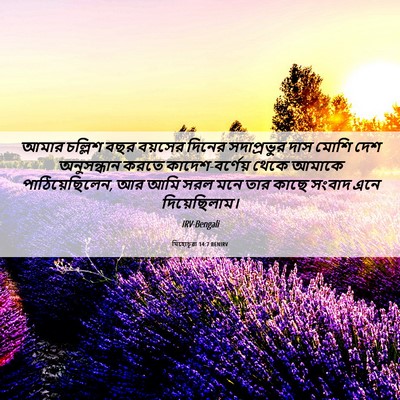 Picture 06 - যিহোচূৱা 14:7 BENIRV - আমার চল্লিশ বছর - Bible Verse Picture