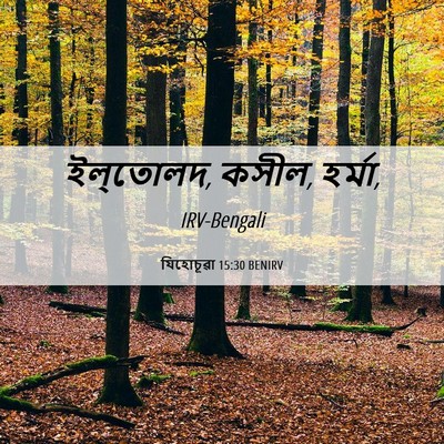 Picture 06 - যিহোচূৱা 15:30 BENIRV - ইল্‌তোলদ, কসীল, - Bible Verse Picture