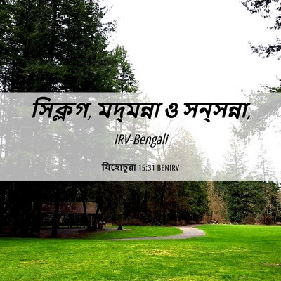 Picture 06 - যিহোচূৱা 15:31 BENIRV - সিক্লগ, মদ্‌মন্না - Bible Verse Picture