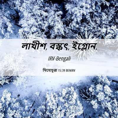 Picture 06 - যিহোচূৱা 15:39 BENIRV - লাখীশ, বস্কৎ, - Bible Verse Picture