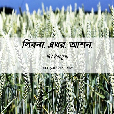 Picture 06 - যিহোচূৱা 15:42 BENIRV - লিবনা, এথর, - Bible Verse Picture