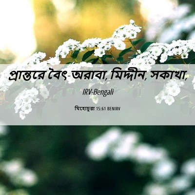Picture 06 - যিহোচূৱা 15:61 BENIRV - প্রান্তরে - Bible Verse Picture