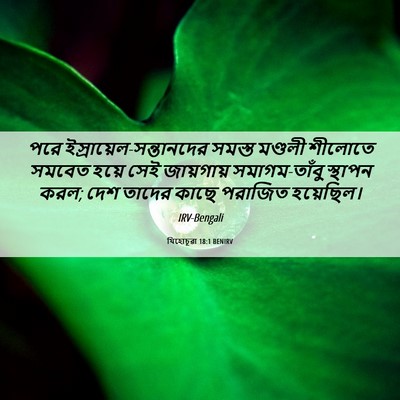 Picture 06 - যিহোচূৱা 18:1 BENIRV - পরে - Bible Verse Picture