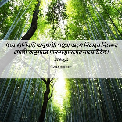 Picture 06 - যিহোচূৱা 19:40 BENIRV - পরে গুলিবাঁট - Bible Verse Picture