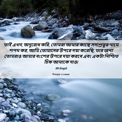 Picture 06 - যিহোচূৱা 2:12 BENIRV - তাই এখন, অনুরোধ - Bible Verse Picture