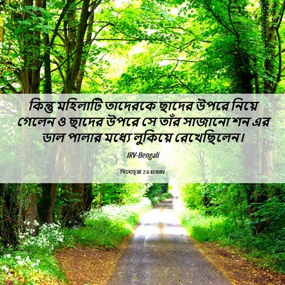 Picture 06 - যিহোচূৱা 2:6 BENIRV - কিন্তু মহিলাটি - Bible Verse Picture