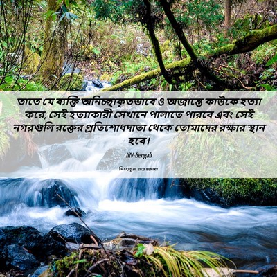Picture 06 - যিহোচূৱা 20:3 BENIRV - তাতে যে ব্যক্তি - Bible Verse Picture