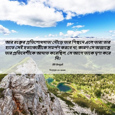 Picture 06 - যিহোচূৱা 20:5 BENIRV - আর রক্তের - Bible Verse Picture
