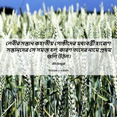 Picture 06 - যিহোচূৱা 21:10 BENIRV - লেবীর সন্তান - Bible Verse Picture