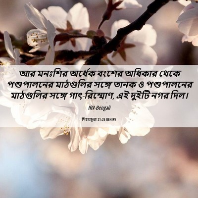 Picture 06 - যিহোচূৱা 21:25 BENIRV - আর মনঃশির অর্ধেক - Bible Verse Picture