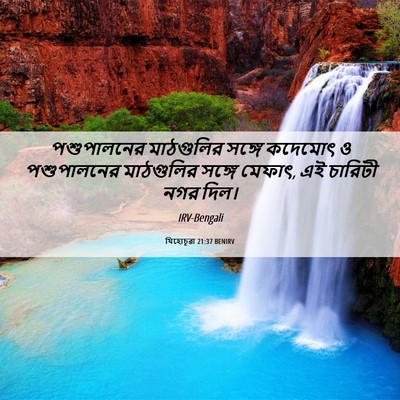 Picture 06 - যিহোচূৱা 21:37 BENIRV - পশুপালনের - Bible Verse Picture