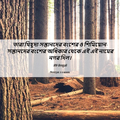 Picture 06 - যিহোচূৱা 21:9 BENIRV - তারা - Bible Verse Picture