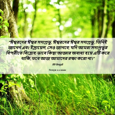 Picture 06 - যিহোচূৱা 22:22 BENIRV - “ঈশ্বরদের ঈশ্বর - Bible Verse Picture