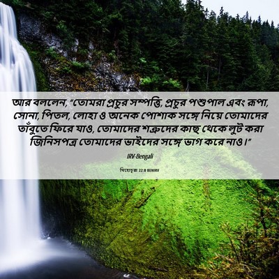 Picture 06 - যিহোচূৱা 22:8 BENIRV - আর বললেন, “তোমরা - Bible Verse Picture