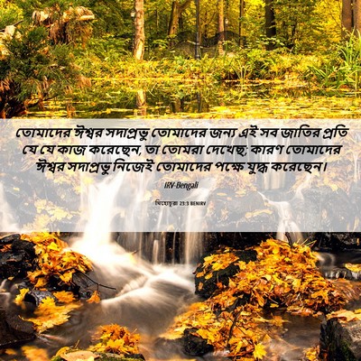 Picture 06 - যিহোচূৱা 23:3 BENIRV - তোমাদের ঈশ্বর - Bible Verse Picture