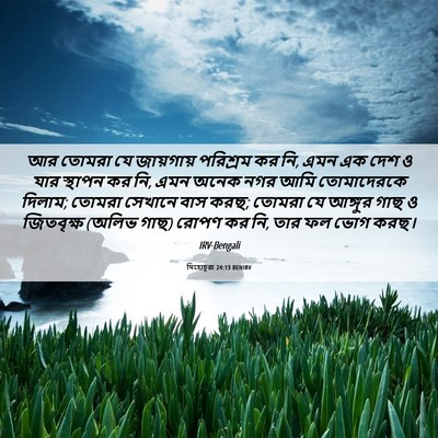 Picture 06 - যিহোচূৱা 24:13 BENIRV - আর তোমরা যে - Bible Verse Picture