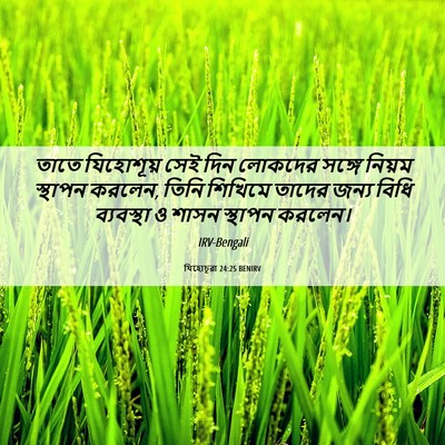 Picture 06 - যিহোচূৱা 24:25 BENIRV - তাতে যিহোশূয় সেই - Bible Verse Picture
