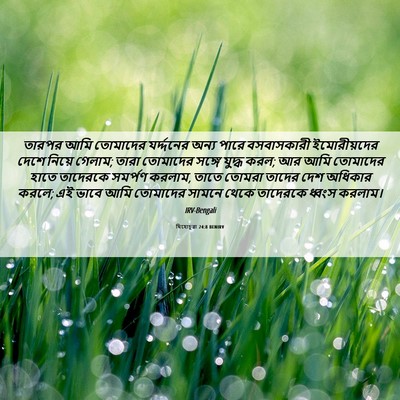 Picture 06 - যিহোচূৱা 24:8 BENIRV - তারপর আমি তোমাদের - Bible Verse Picture