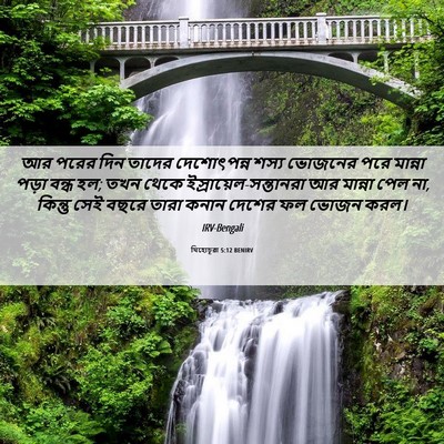 Picture 06 - যিহোচূৱা 5:12 BENIRV - আর পরের দিন তাদের - Bible Verse Picture