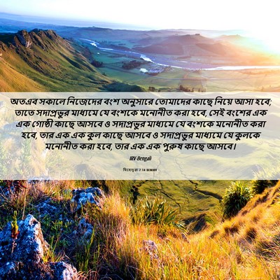 Picture 06 - যিহোচূৱা 7:14 BENIRV - অতএব সকালে - Bible Verse Picture
