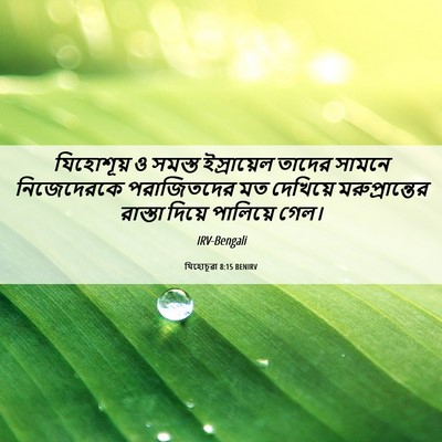 Picture 06 - যিহোচূৱা 8:15 BENIRV - যিহোশূয় ও সমস্ত - Bible Verse Picture