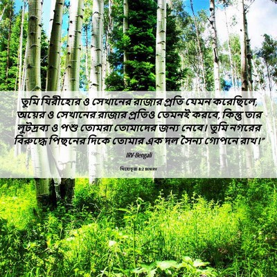 Picture 06 - যিহোচূৱা 8:2 BENIRV - তুমি যিরীহোর ও - Bible Verse Picture