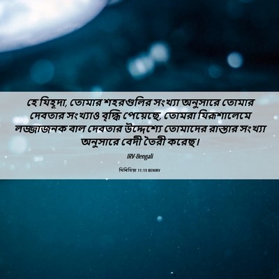 Picture 06 - যিৰিমিয়া 11:13 BENIRV - হে যিহূদা, তোমার - Bible Verse Picture