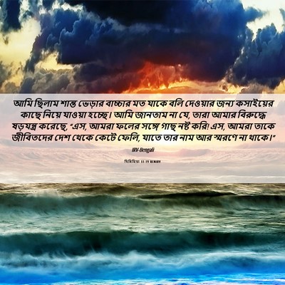 Picture 06 - যিৰিমিয়া 11:19 BENIRV - আমি ছিলাম শান্ত - Bible Verse Picture