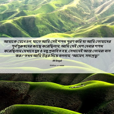 Picture 06 - যিৰিমিয়া 11:5 BENIRV - আমাকে মেনে চল, যাতে - Bible Verse Picture