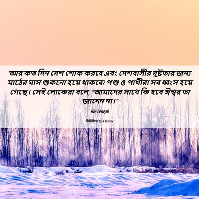 Picture 06 - যিৰিমিয়া 12:4 BENIRV - আর কত দিন দেশ শোক - Bible Verse Picture