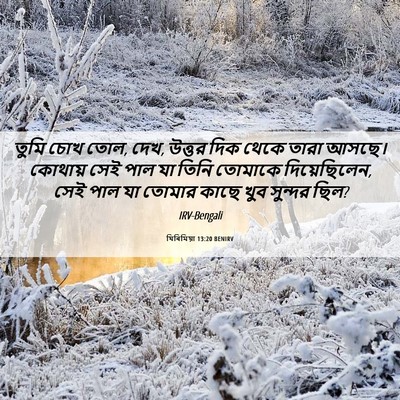 Picture 06 - যিৰিমিয়া 13:20 BENIRV - তুমি চোখ তোল, দেখ, - Bible Verse Picture