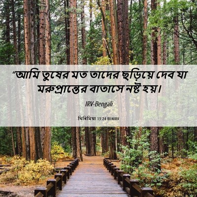 Picture 06 - যিৰিমিয়া 13:24 BENIRV - “আমি তুষের মত - Bible Verse Picture