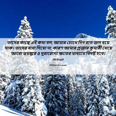 Picture 06 - যিৰিমিয়া 14:17 BENIRV - তাদের কাছে এই কথা - Bible Verse Picture